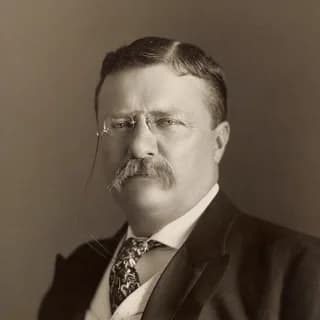 Portrait of Theodore Roosevelt