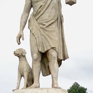 Portrait of Diogenes